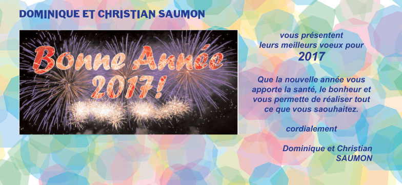 Bonne année 2017 !